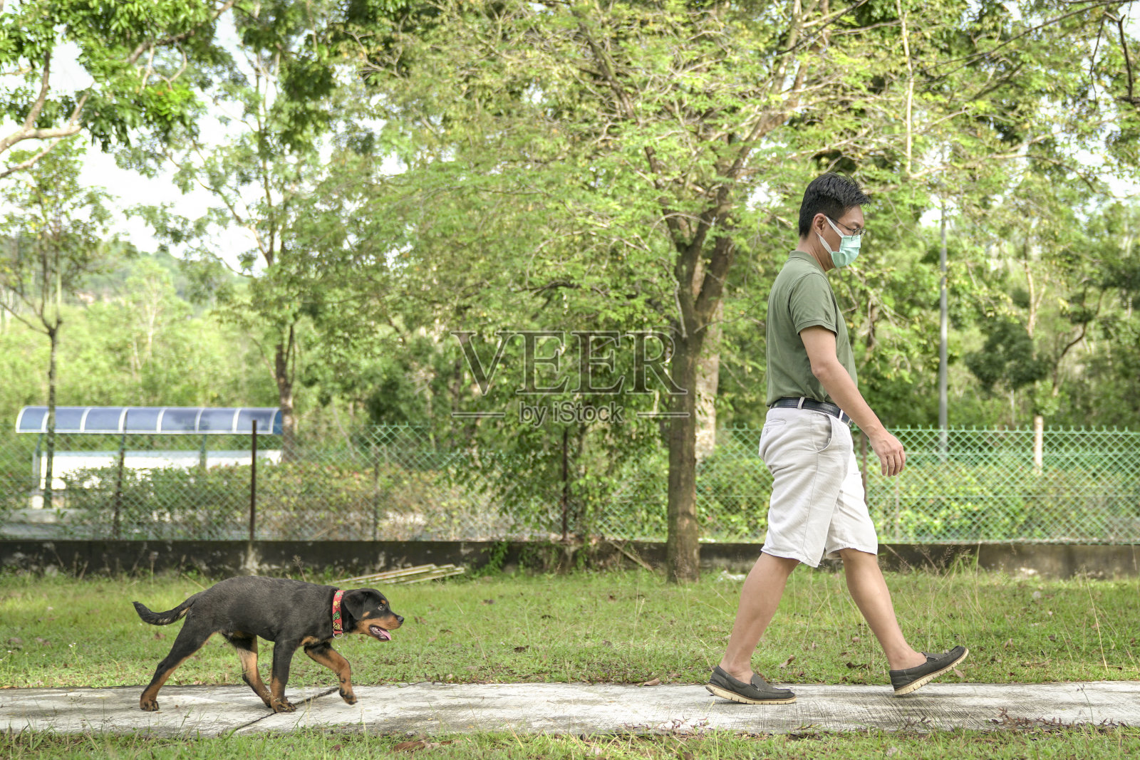 狗跟在戴面具的人后面在公园散步。流感流行期间与宠物狗进行户外活动。照片摄影图片