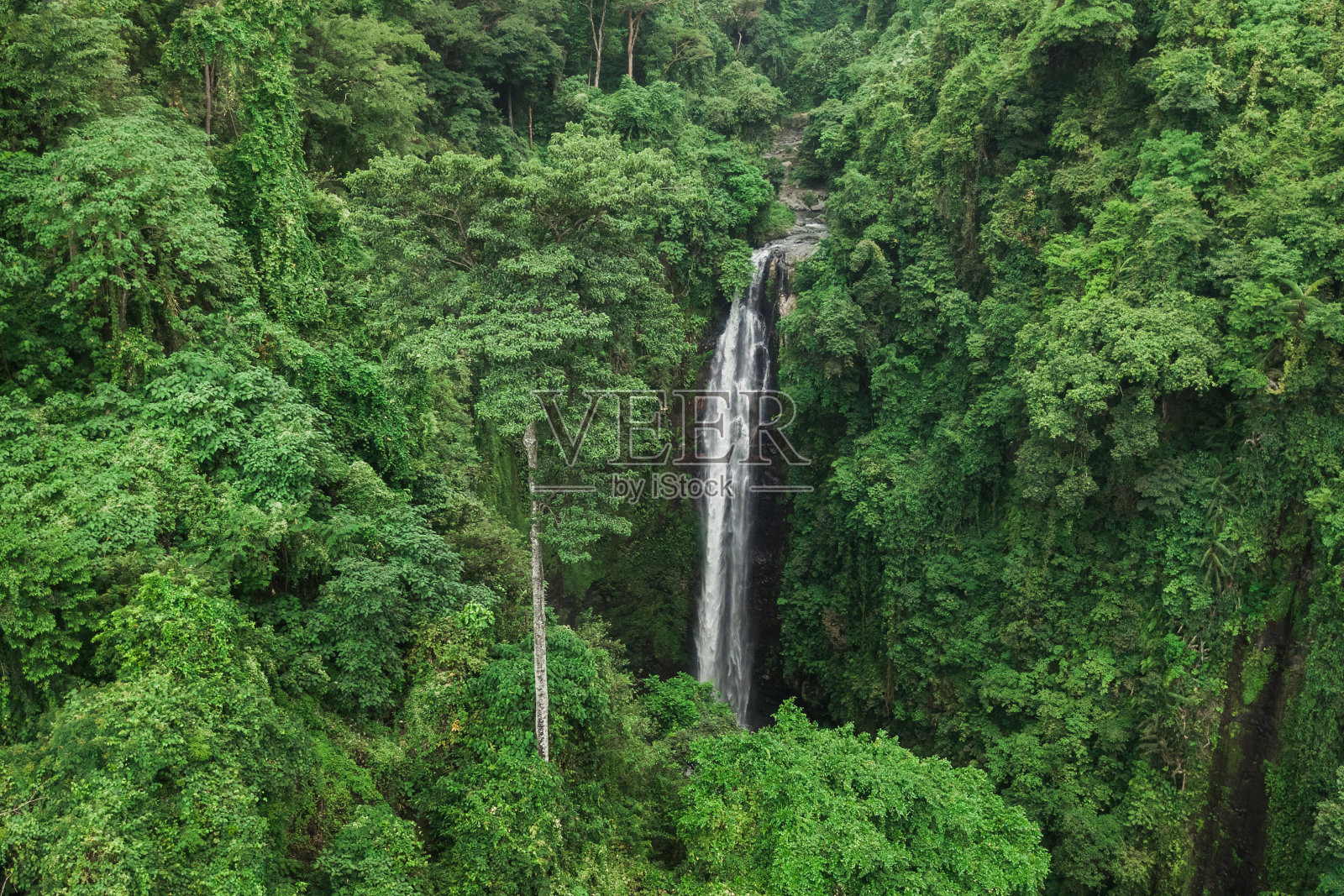 无人机的大瀑布隐藏在丛林雨林。原野未动的自然，绿色的背景。印尼巴厘岛照片摄影图片