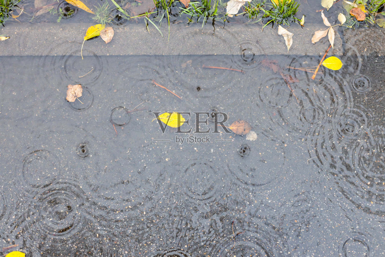 秋雨中沥青路上的水坑照片摄影图片