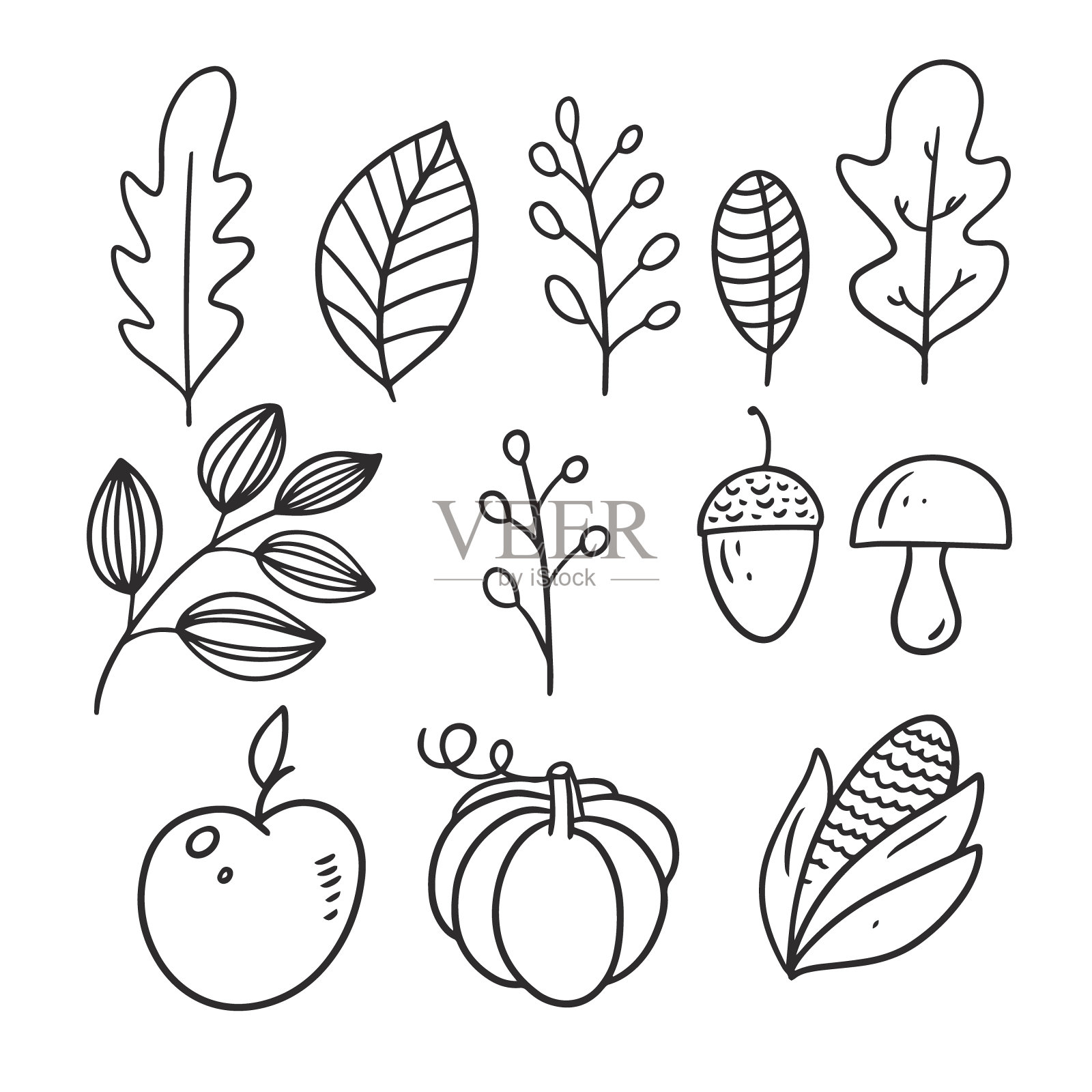 南瓜，苹果，蘑菇，坚果和树叶。黑色矢量插图。插画图片素材