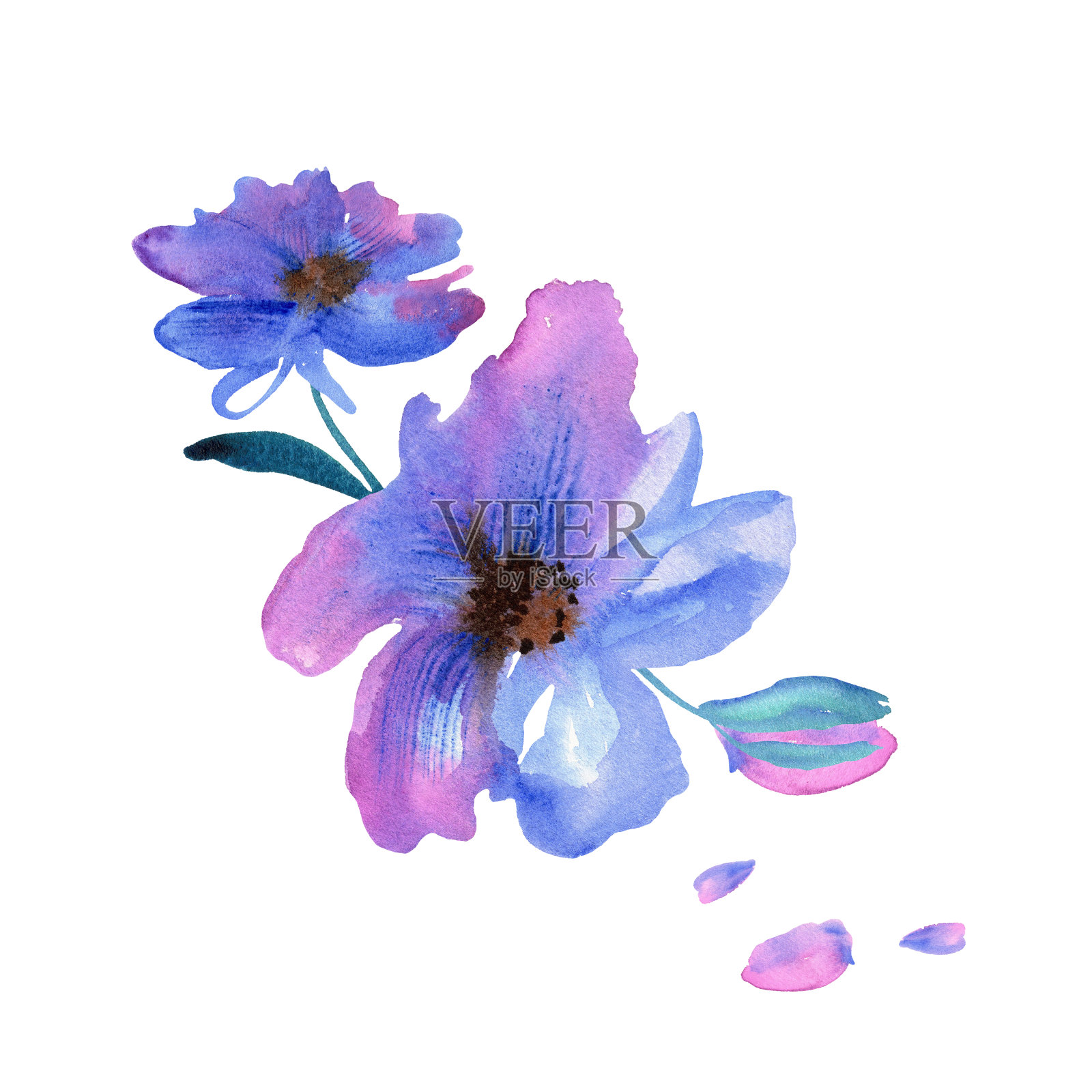 可爱的水彩手绘紫色花朵。插画图片素材