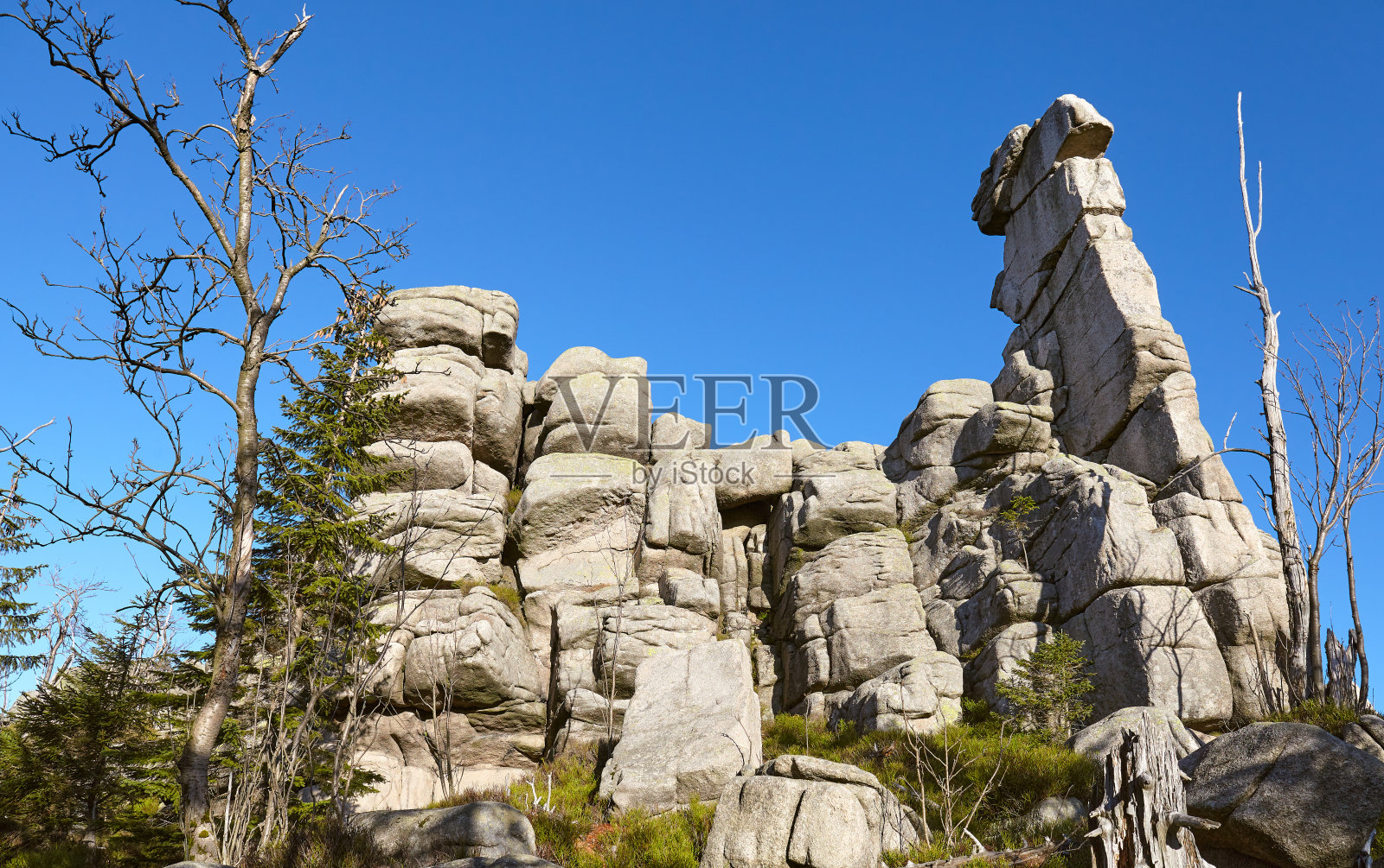 波兰Karkonosze国家公园，绵羊在岩石中形成。照片摄影图片