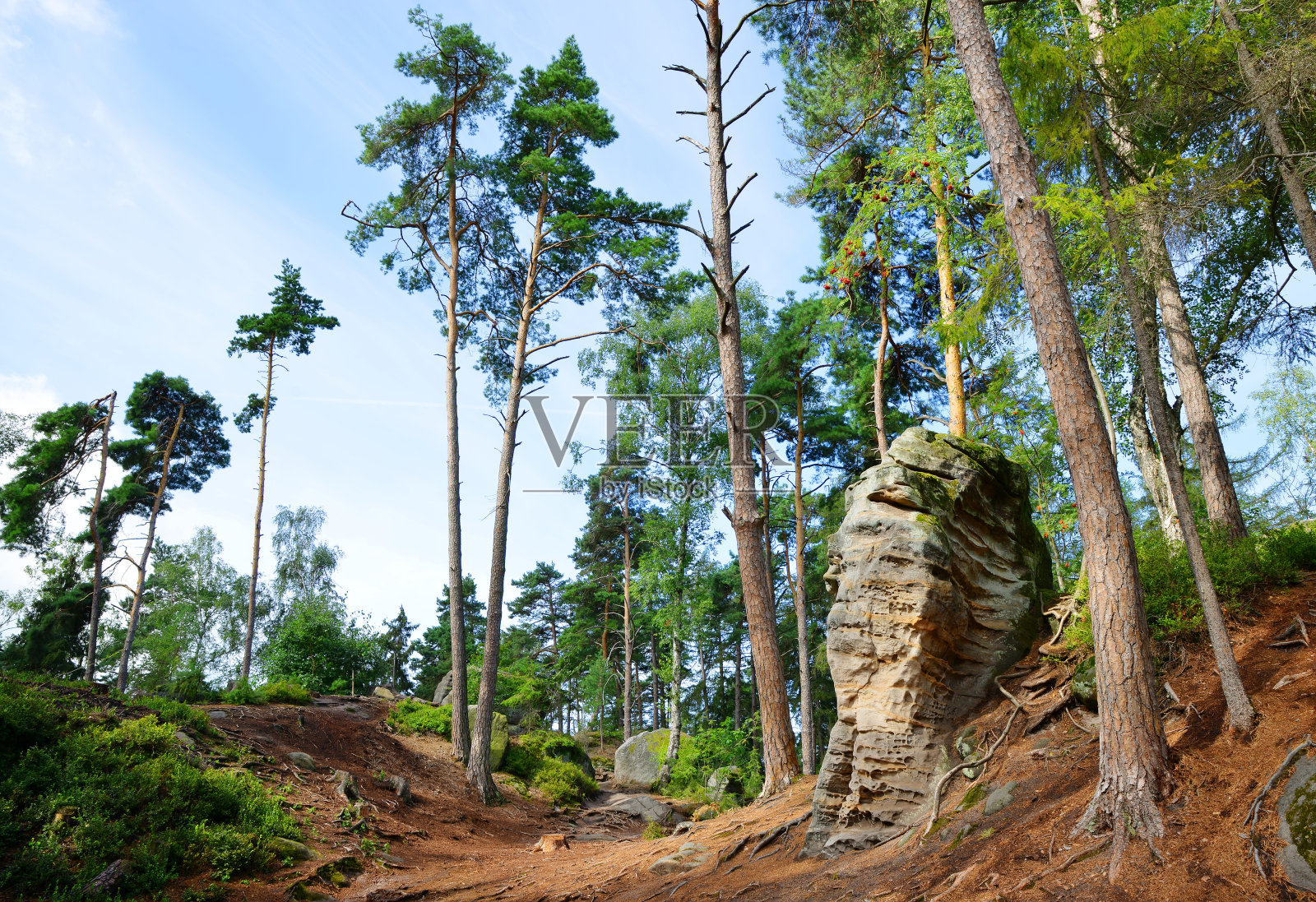 捷克，自然公园Prachovske skaly的景观。照片摄影图片