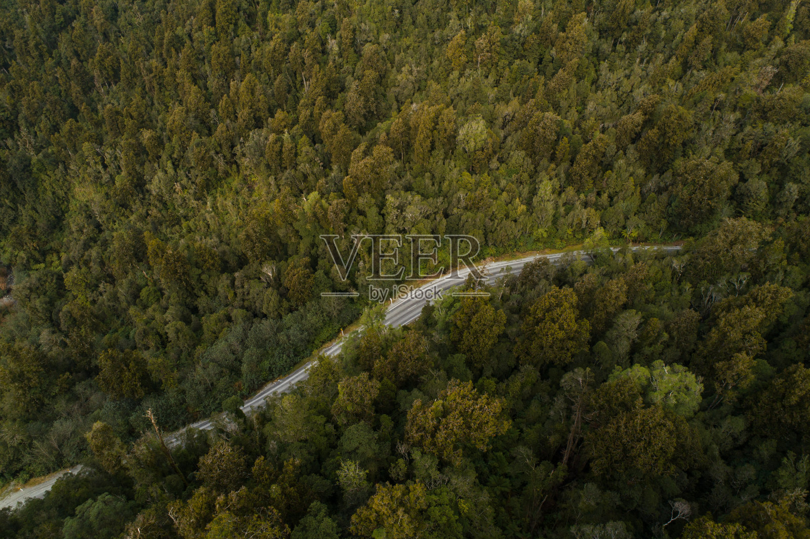 公路通过茂密的原生森林的鸟瞰图。照片摄影图片