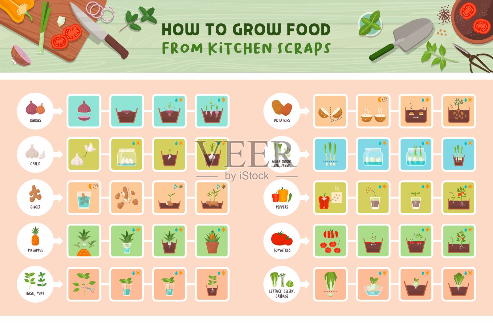 如何用厨房的残羹剩饭种植食物插画图片素材