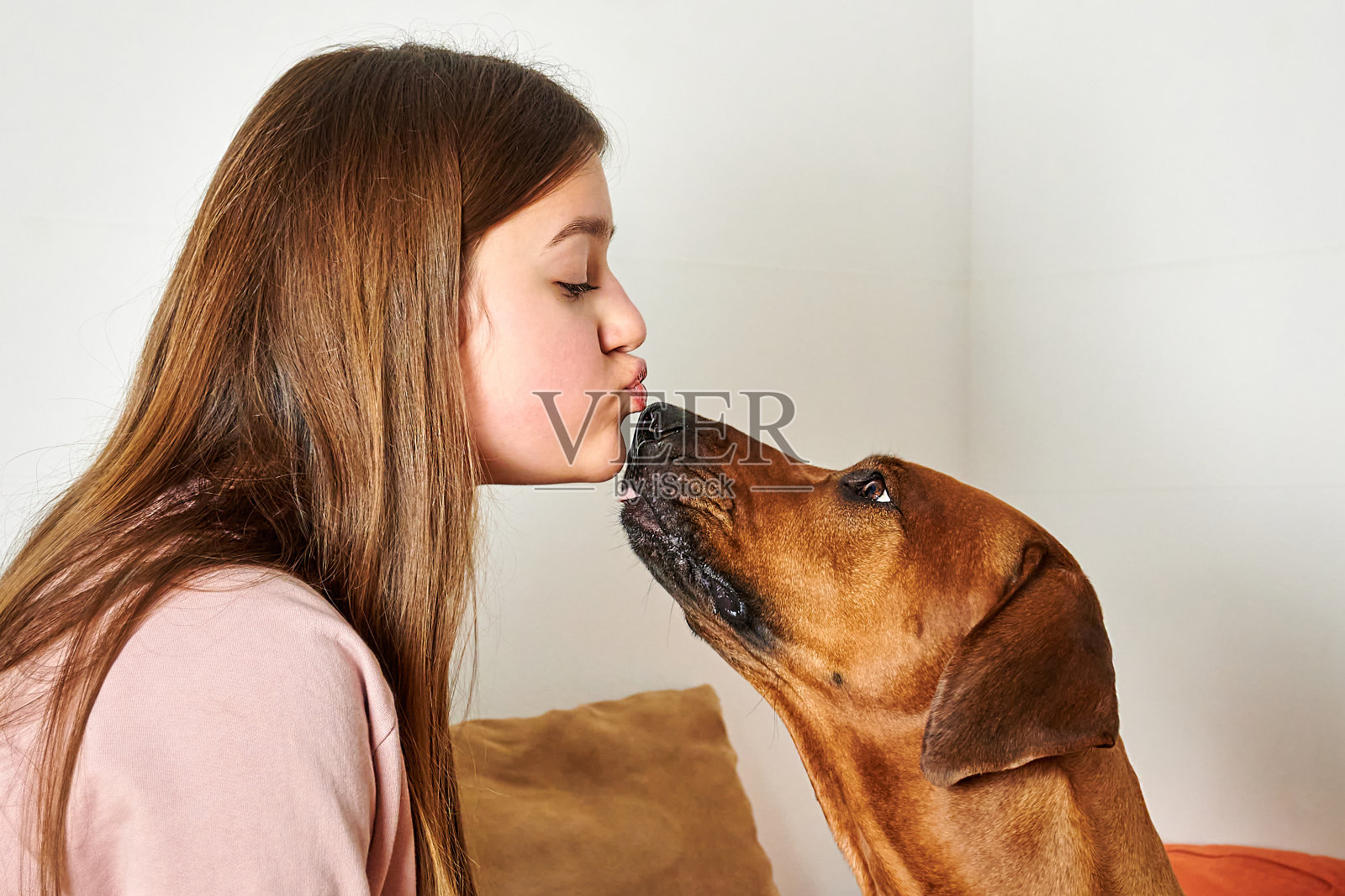 女孩的狗。女孩亲吻她的狗的特写肖像。照片摄影图片