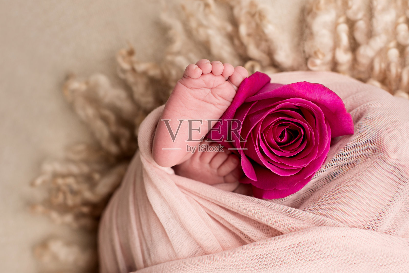 新生儿的脚上插着粉红色的玫瑰花，母亲节到了照片摄影图片