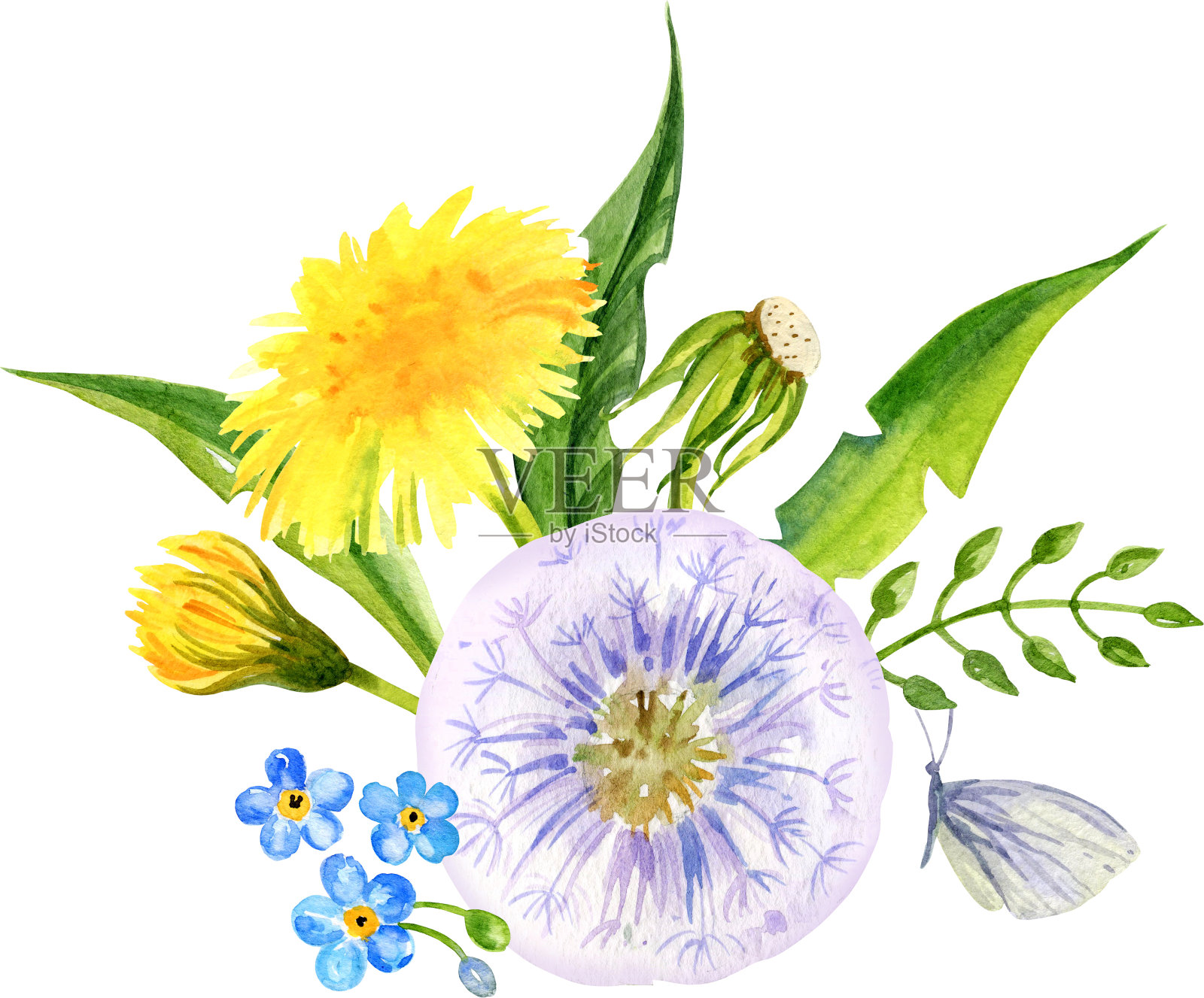水彩田花组成，手绘素描，夏天的花，蒲公英的叶子和种子。黄色和绿色的花和草与蝴蝶插画图片素材