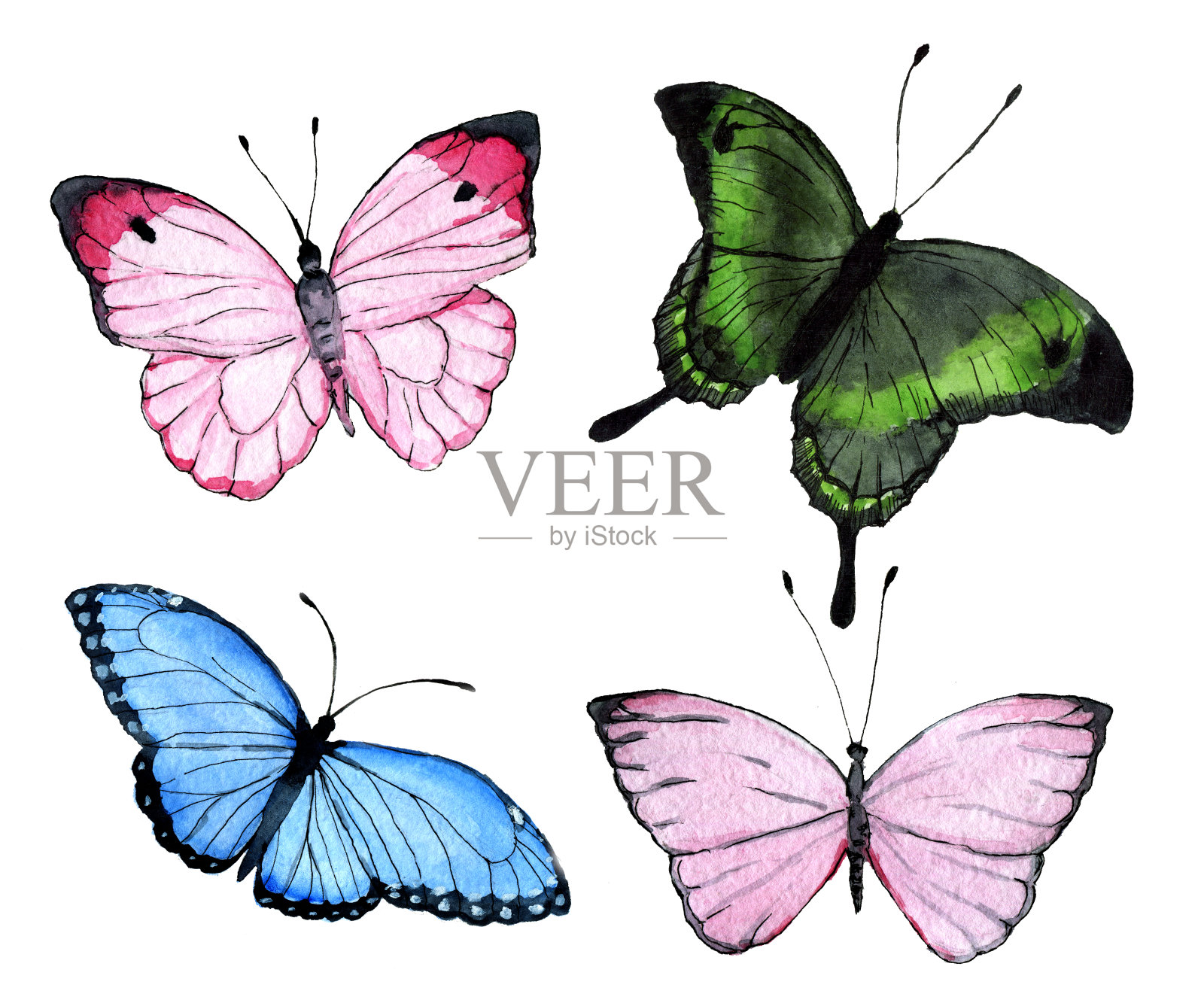 一组有着彩色翅膀的奇异蝴蝶设计元素图片