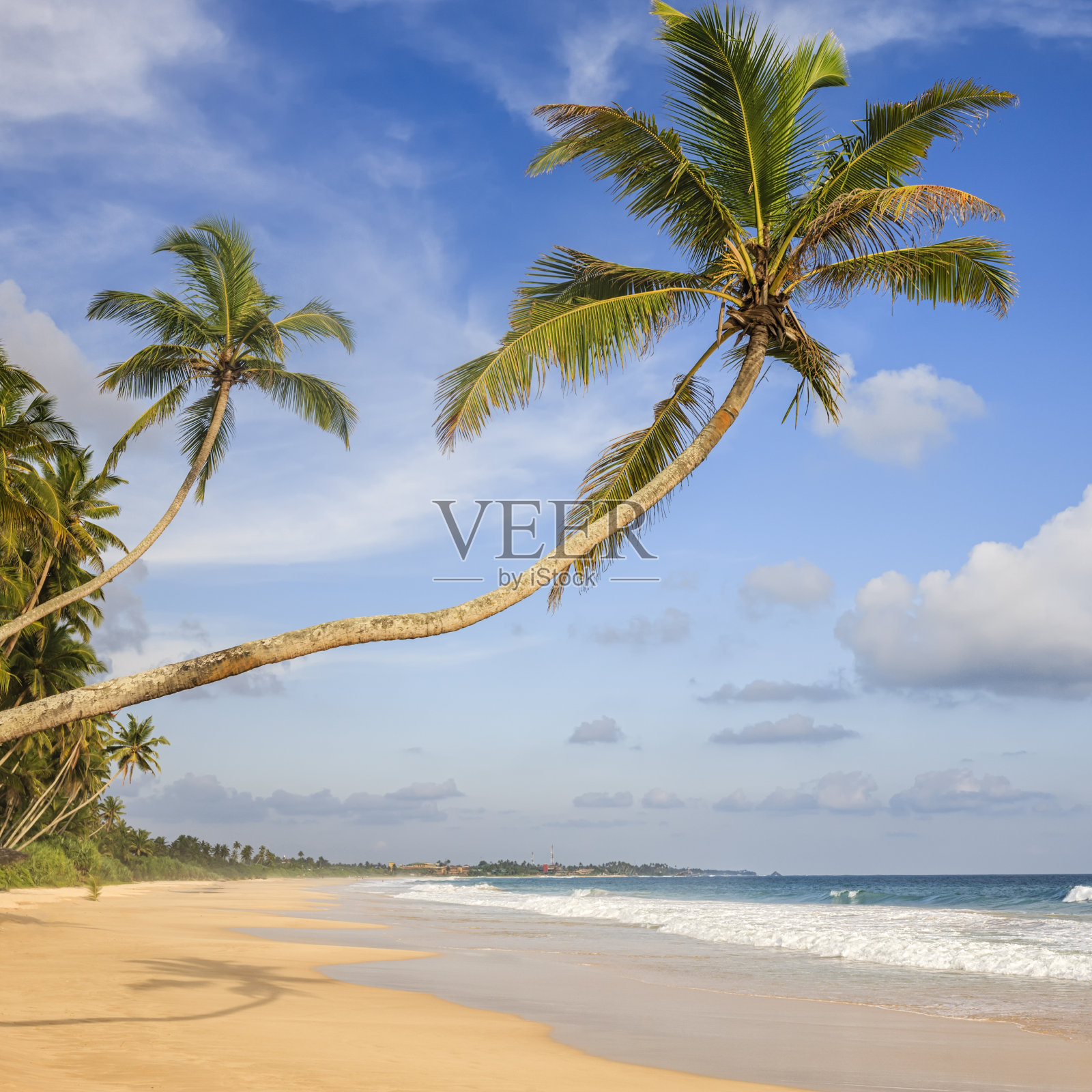 天堂-海，棕榈树，热带海滩，斯里兰卡照片摄影图片