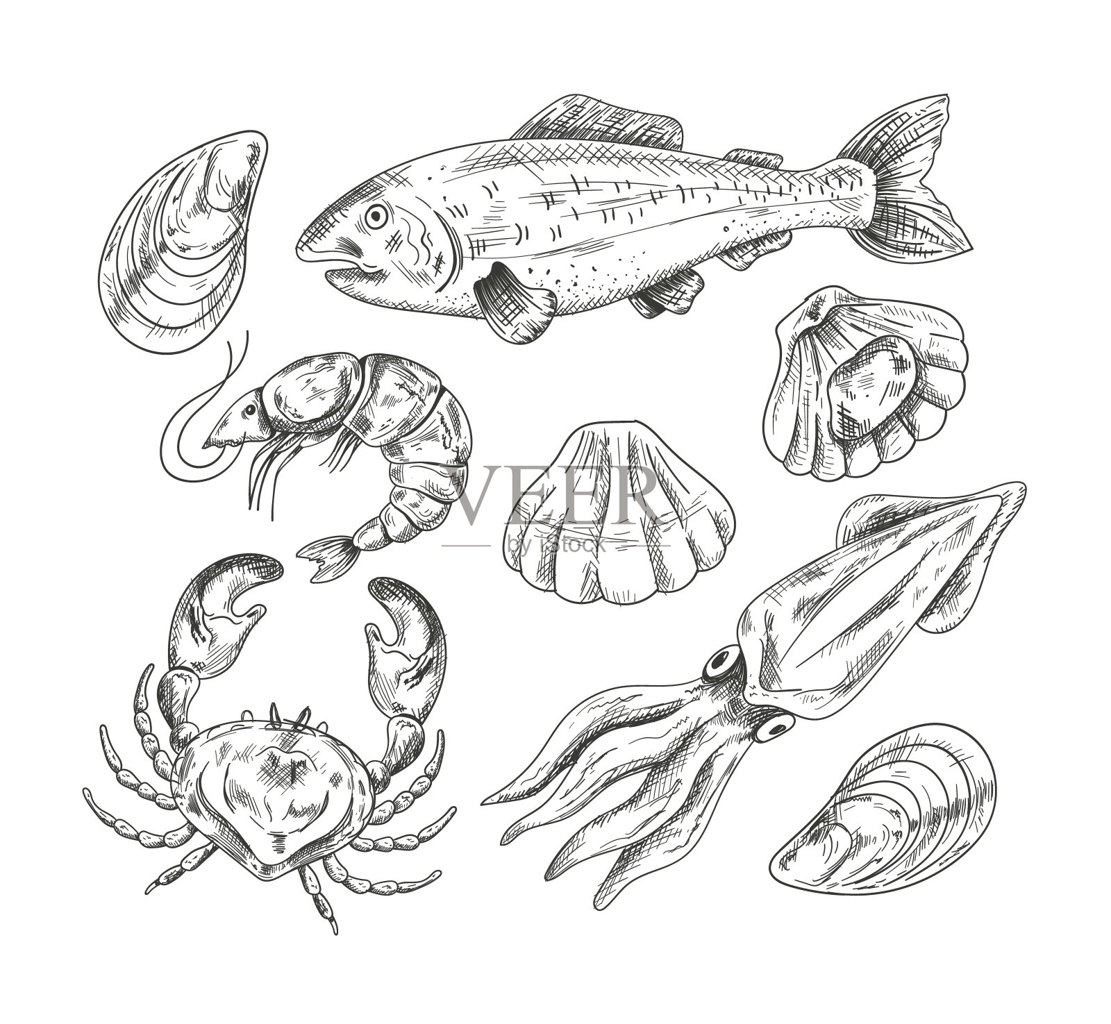 螃蟹素描套装。 手工绘制的海鲜集合。 不同螃蟹的矢量插图. 库存矢量图（免版税）674264911