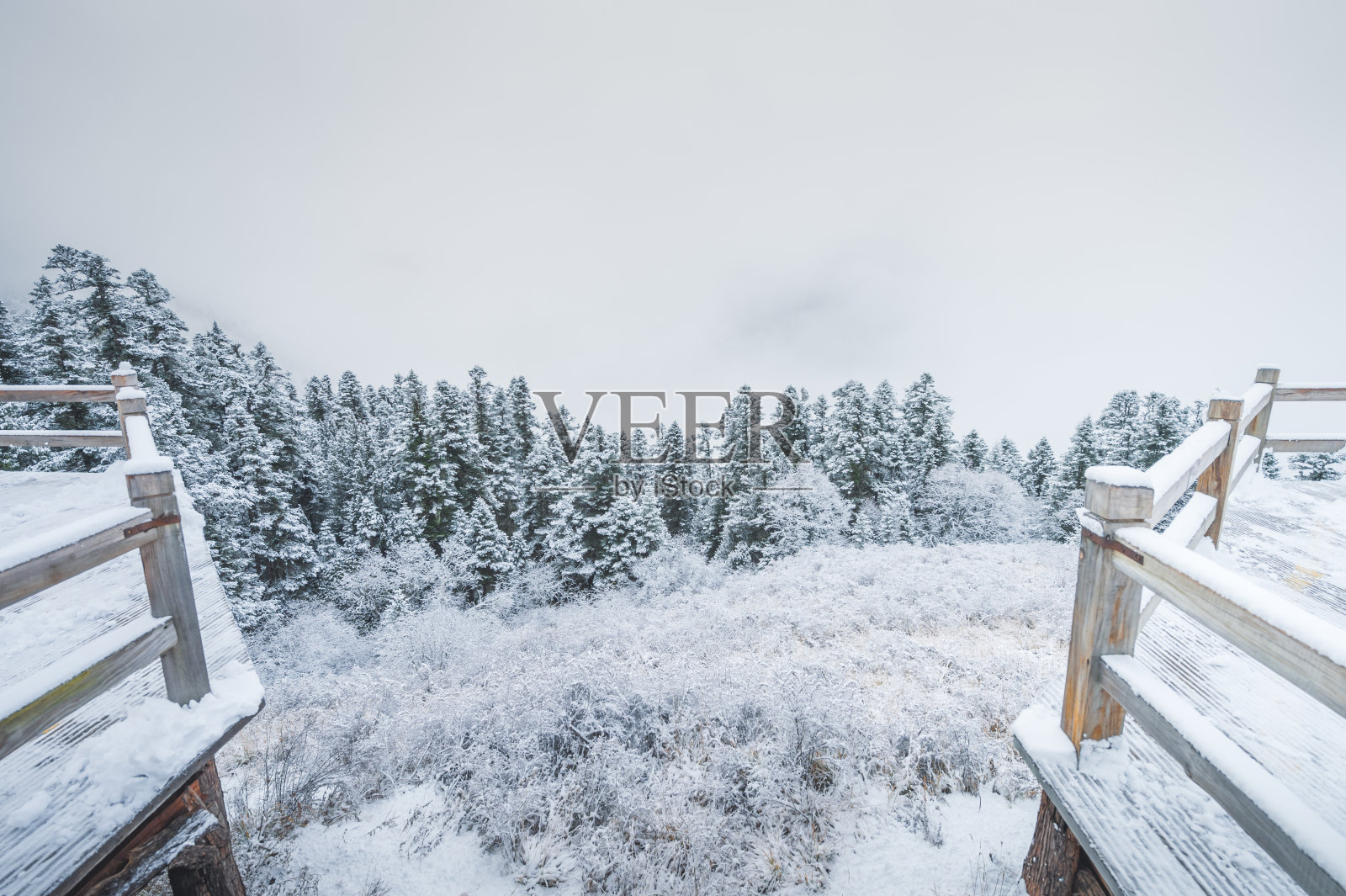 在黄龙国家公园里，白雪覆盖的冬天让人放松和宁静照片摄影图片