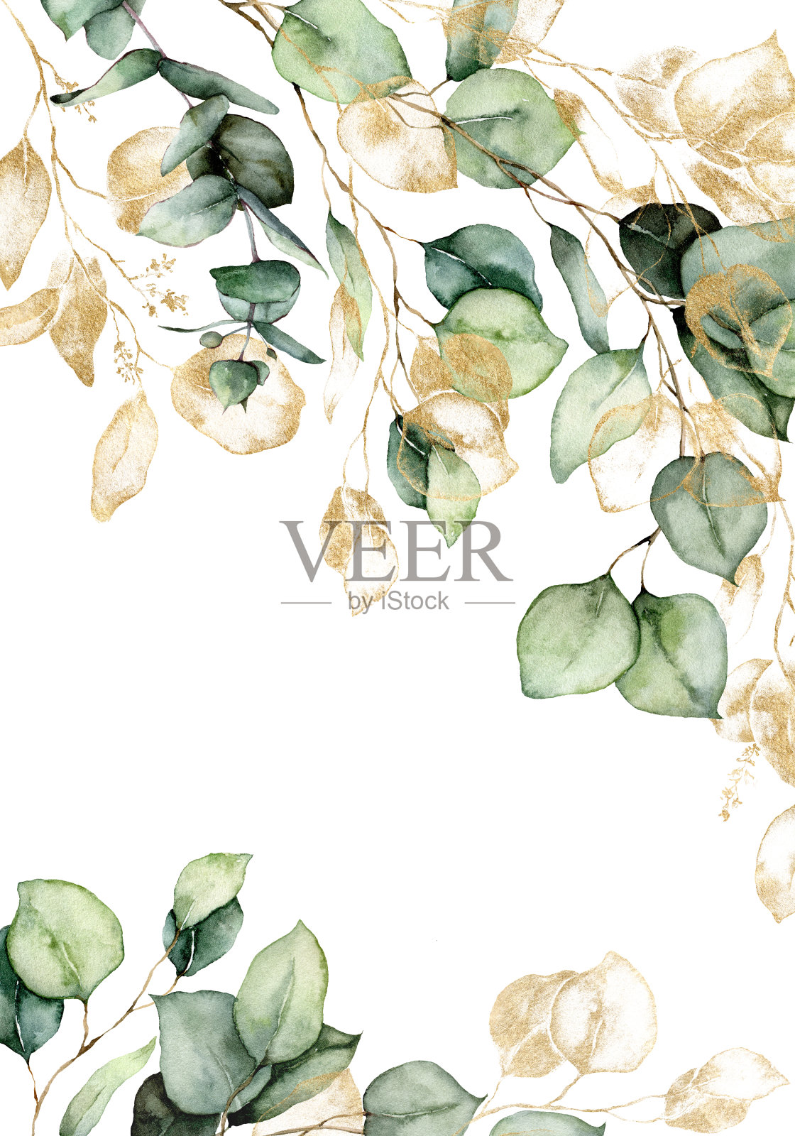 水彩边缘的金色桉树的树枝，树叶和种子。白色背景上孤立的植物手绘卡片。花卉插图设计，印刷，织物或背景。插画图片素材