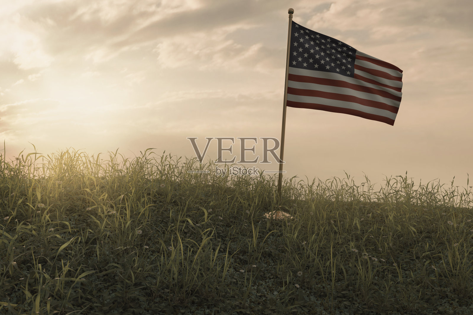 3d渲染的小飘扬的美国国旗站在和平的花草地记得庆祝国家节日照片摄影图片