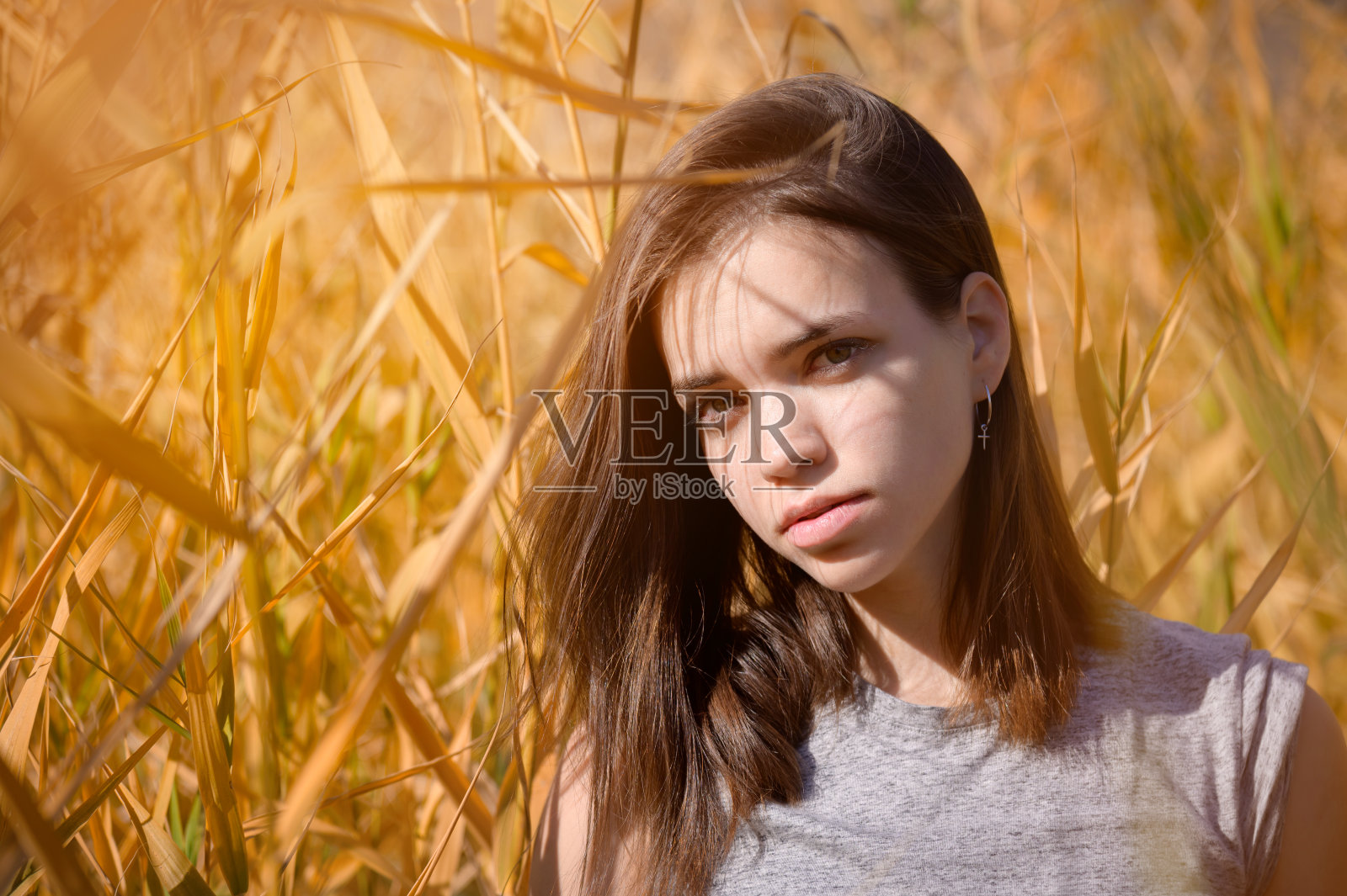 一幅迷人的年轻女子的肖像，穿着一件神秘的t恤，站在黄色的芦苇丛中，看着相机照片摄影图片
