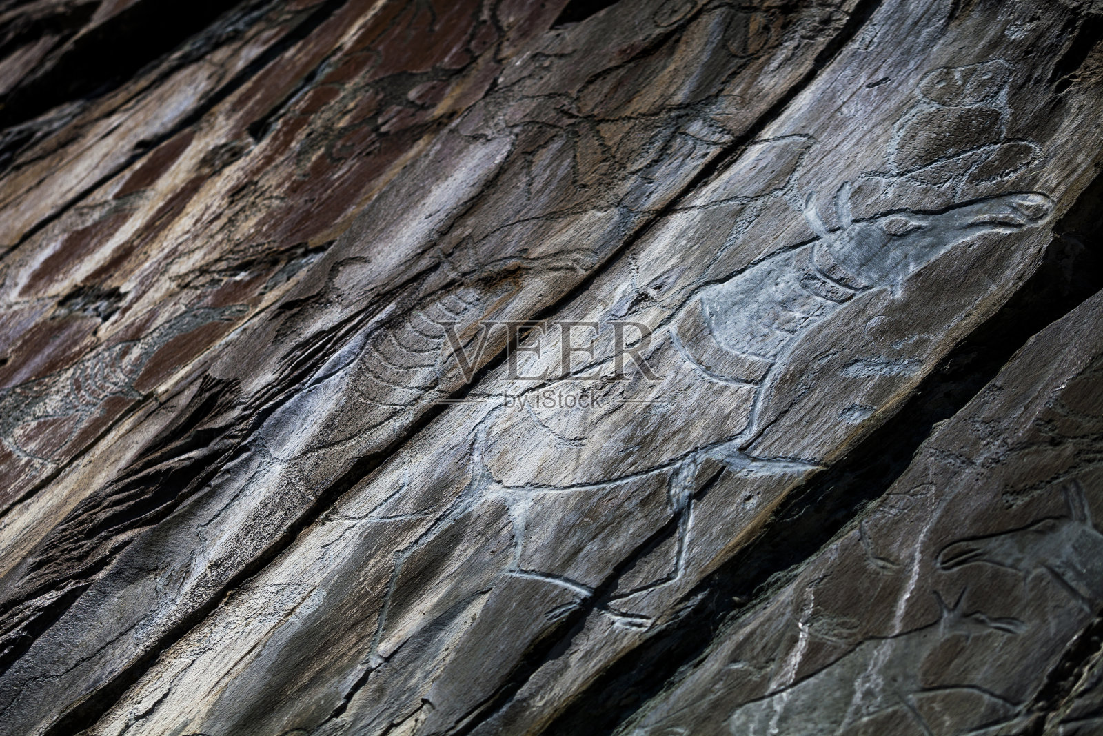 岩石雕刻托木斯克pisanitsa。俄罗斯汤姆河畔的岩画照片摄影图片