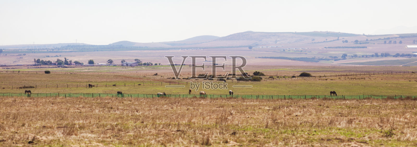 南非西部开普草原的土路全景照片摄影图片