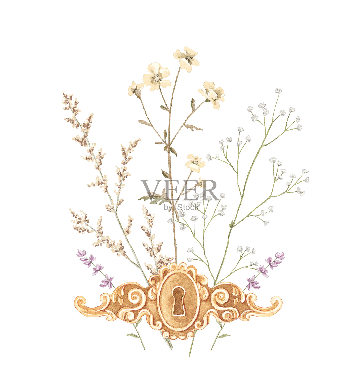 水彩复古金色钥匙孔与草甸干花插画图片素材
