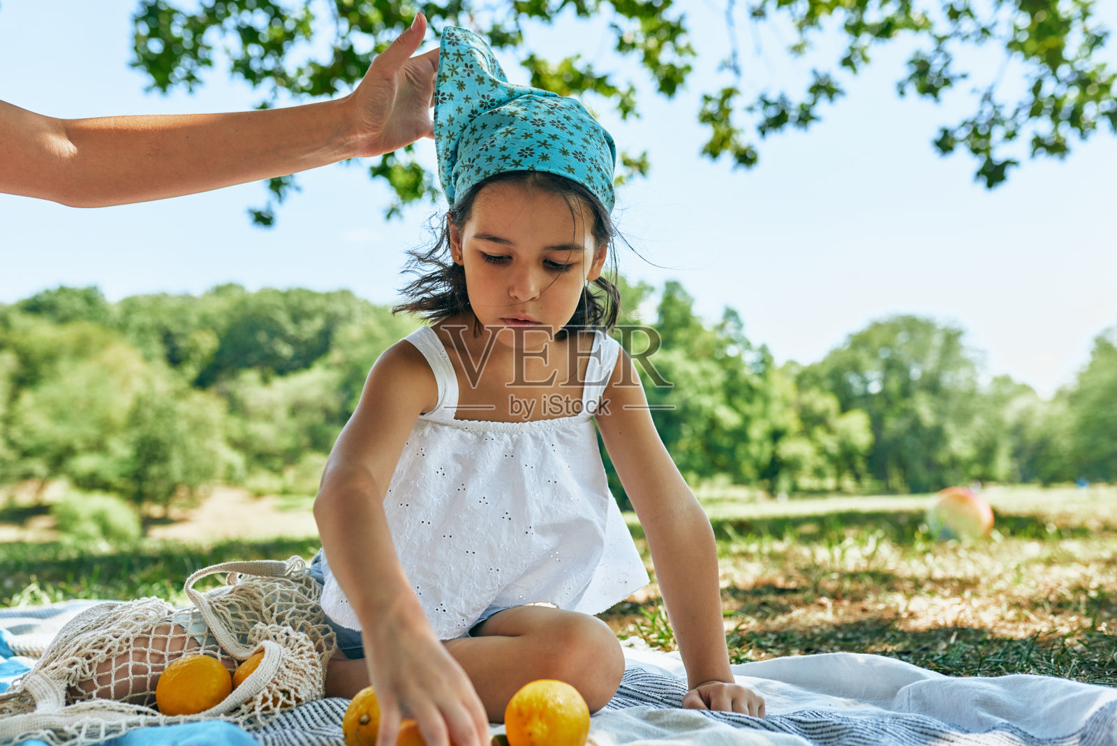 在一个阳光明媚的日子里，可爱的小女孩坐在野餐毯子上玩耍，数着收获的柠檬。孩子和家人一起在公园里度过时光。照片摄影图片