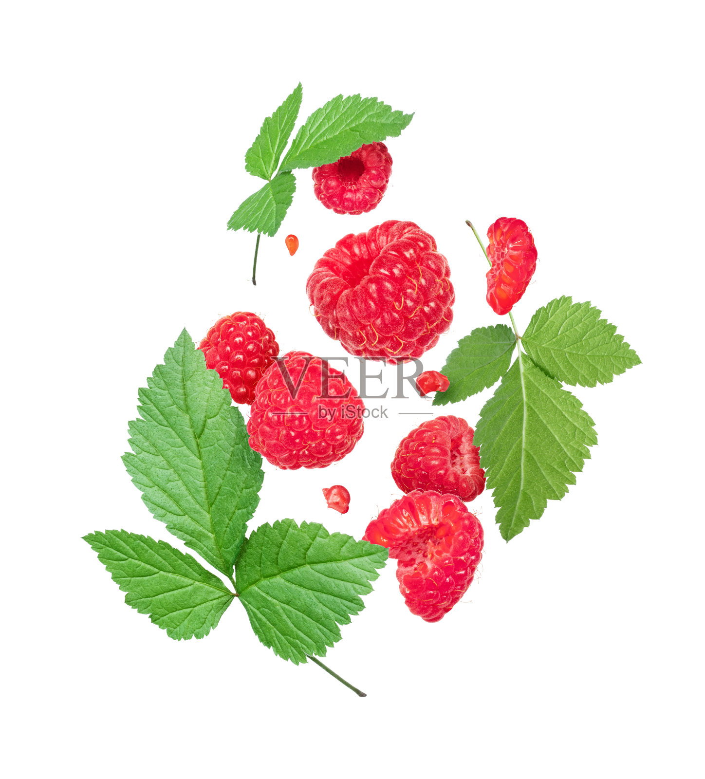 成熟的树莓与绿色的叶子特写，孤立在白色的背景照片摄影图片
