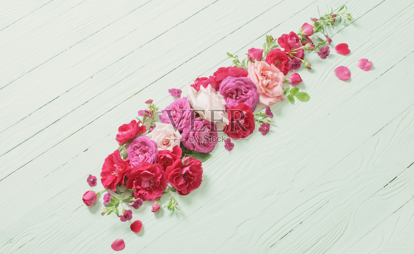 粉红色和红色的玫瑰在绿色的木质背景上照片摄影图片