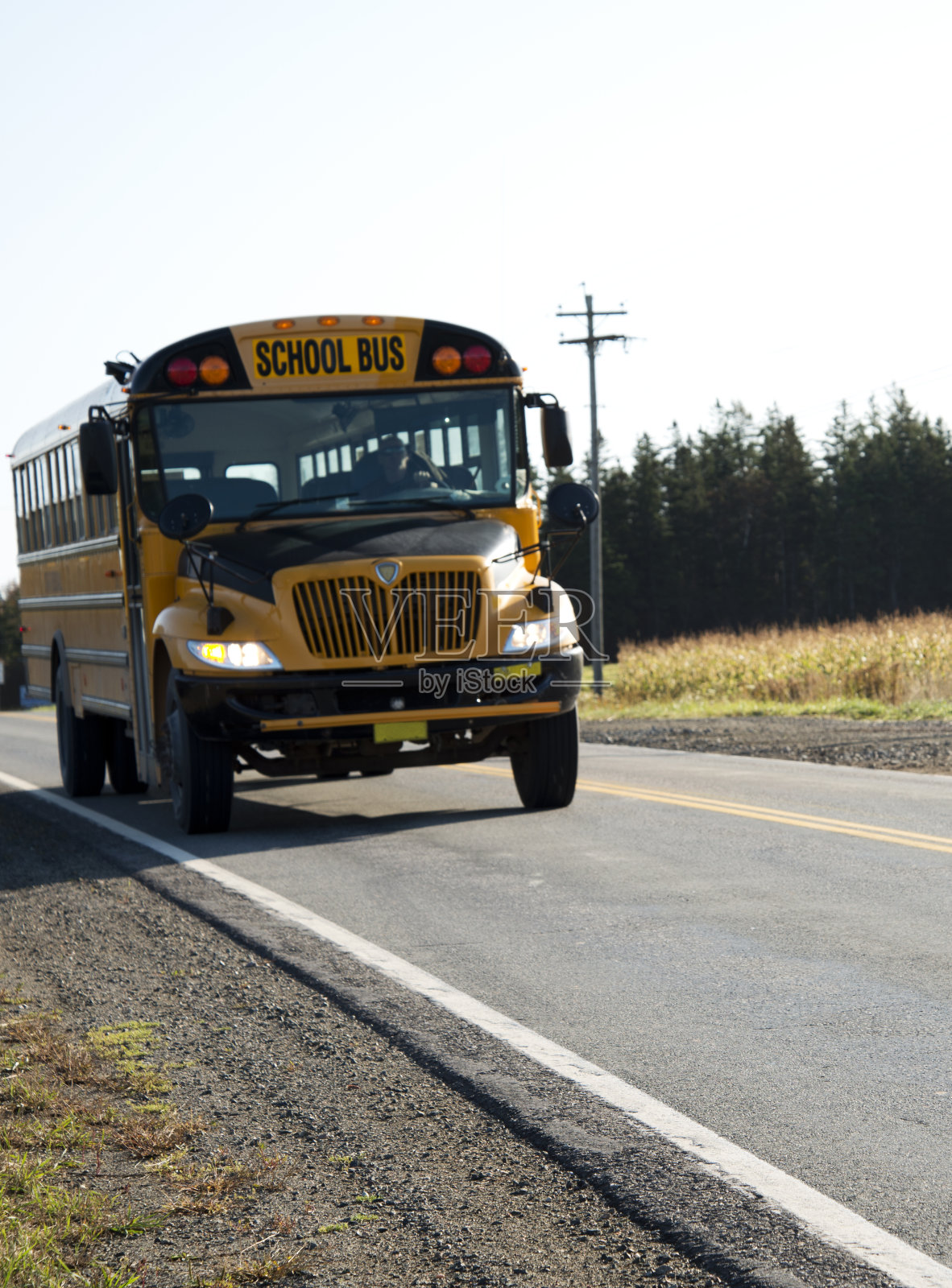 秋天，五颜六色的新斯科舍省公路上的校车。照片摄影图片