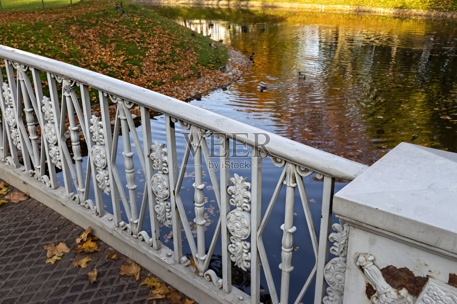 从桥。公园里的金秋。河边的黄树。照片摄影图片