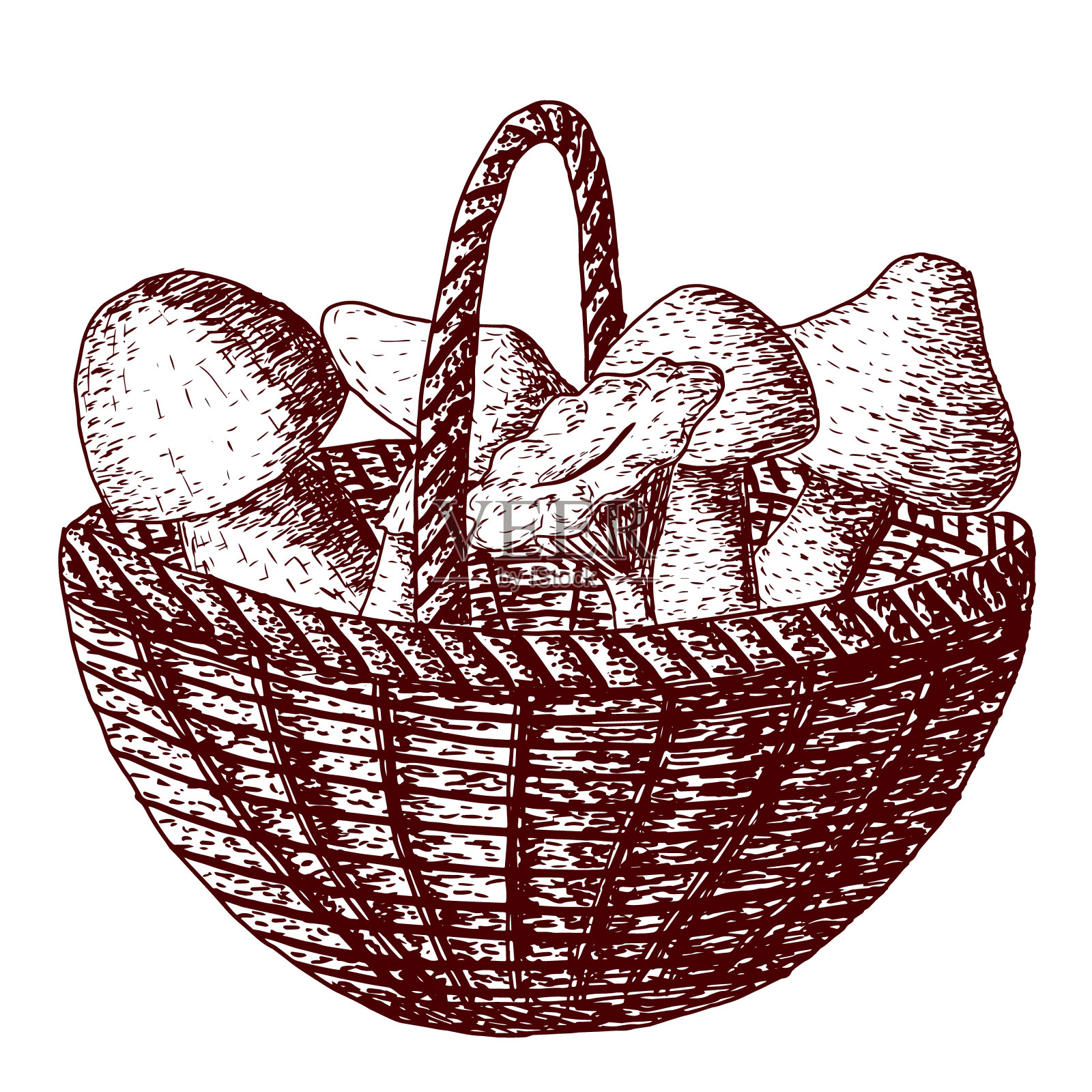 篮子里摆着蘑菇插画图片素材