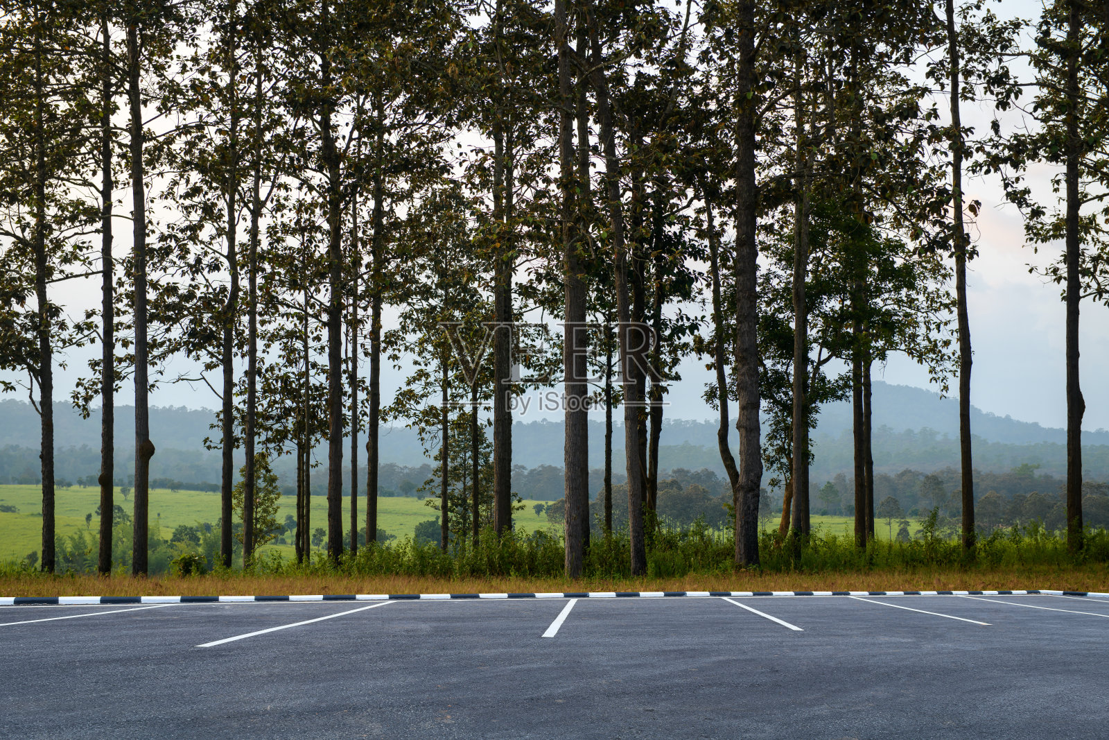 空荡荡的停车场，对面是美丽的森林照片摄影图片