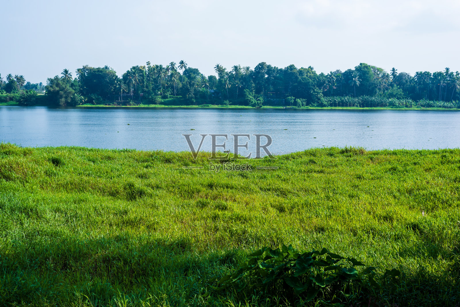 印度喀拉拉邦科钦的河景。照片摄影图片