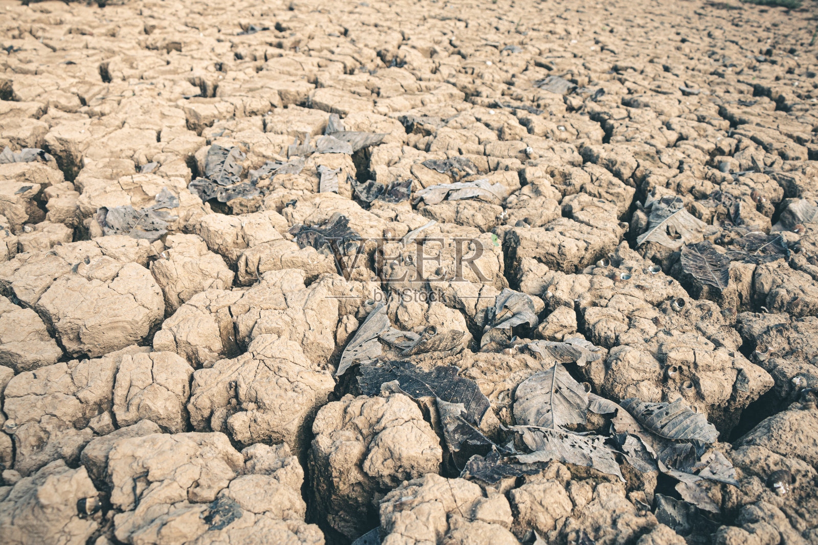 景观地裂缝干旱危机环境背景。照片摄影图片