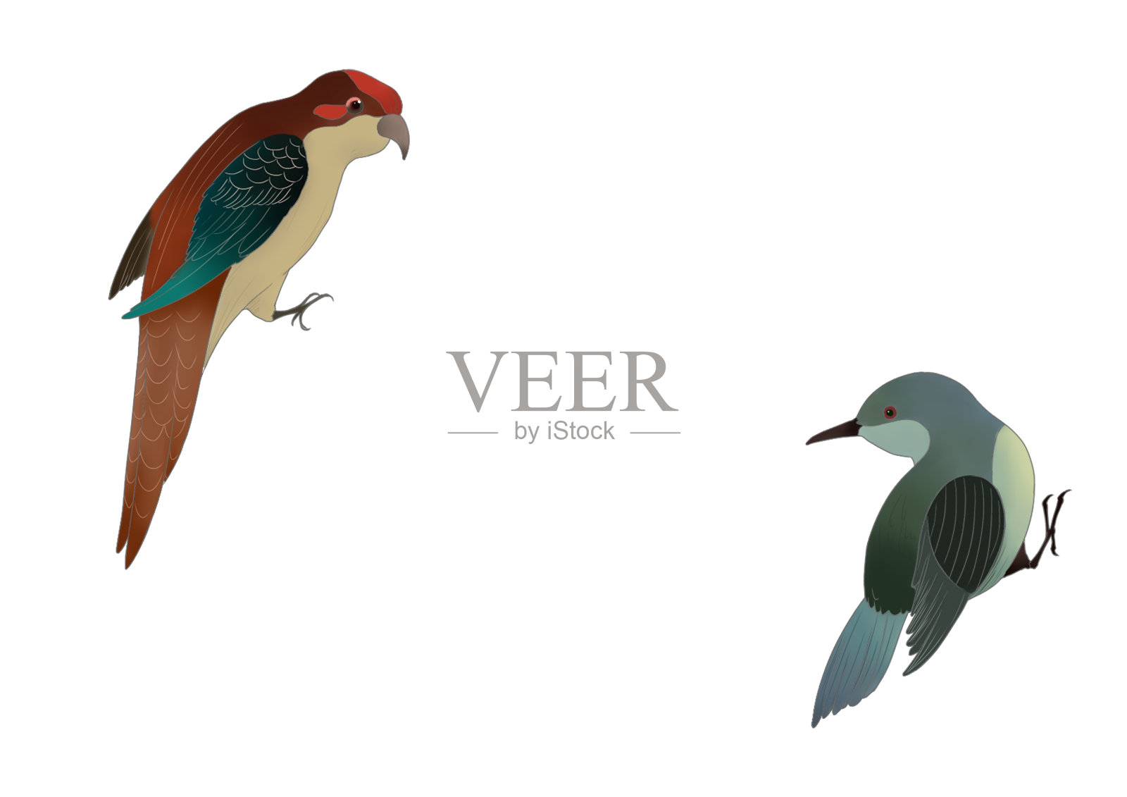 古典国风鸟类动物插画设计元素图片