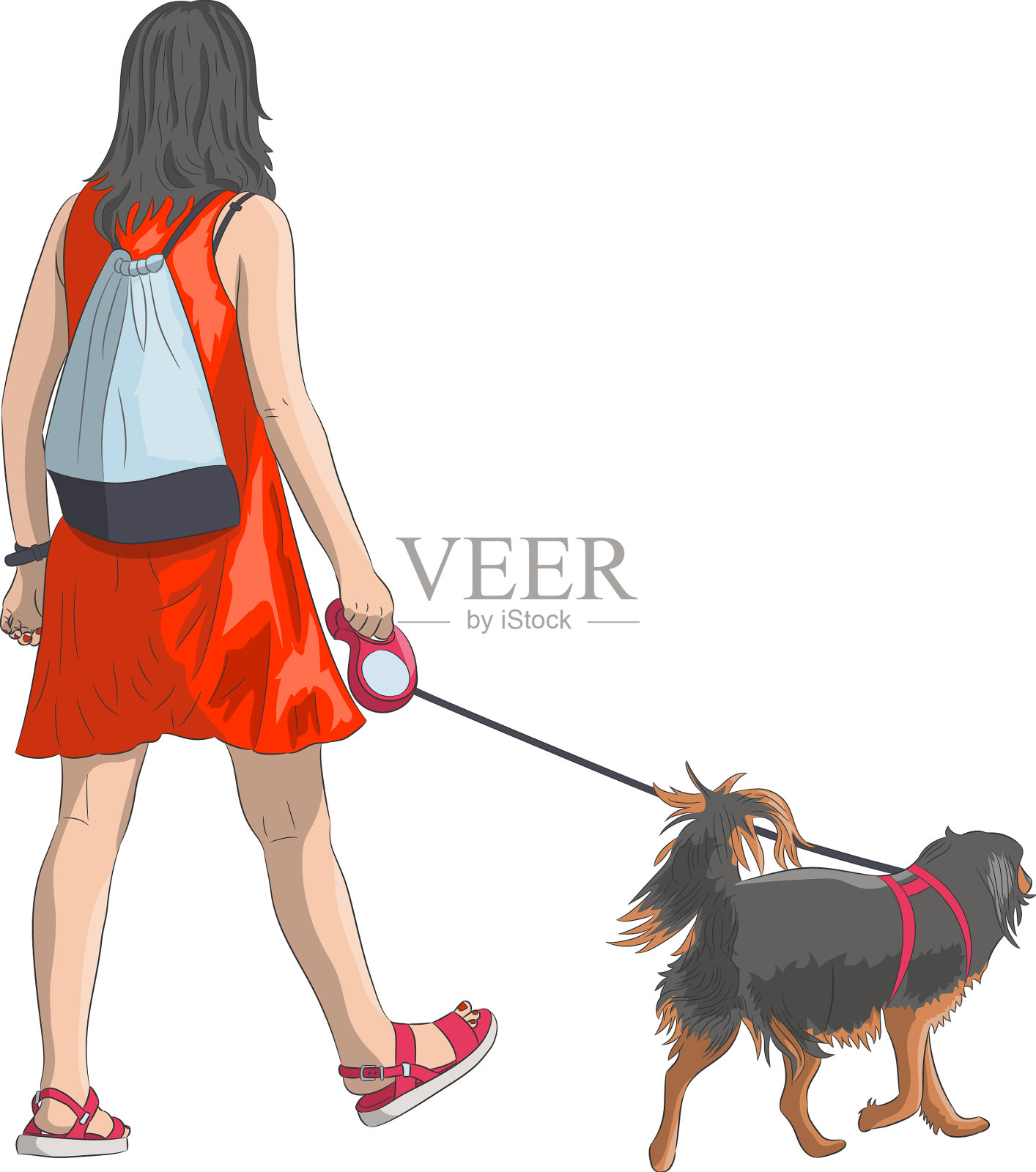女孩牵着皮带遛狗插画图片素材_ID:427679795-Veer图库