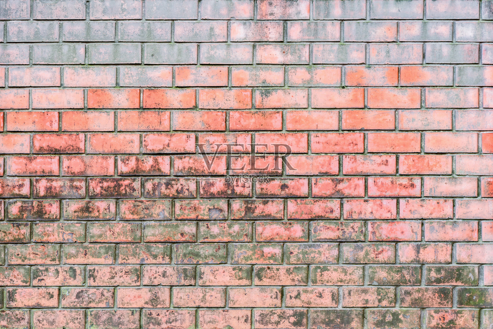 红砖墙的脏栅栏。照片摄影图片