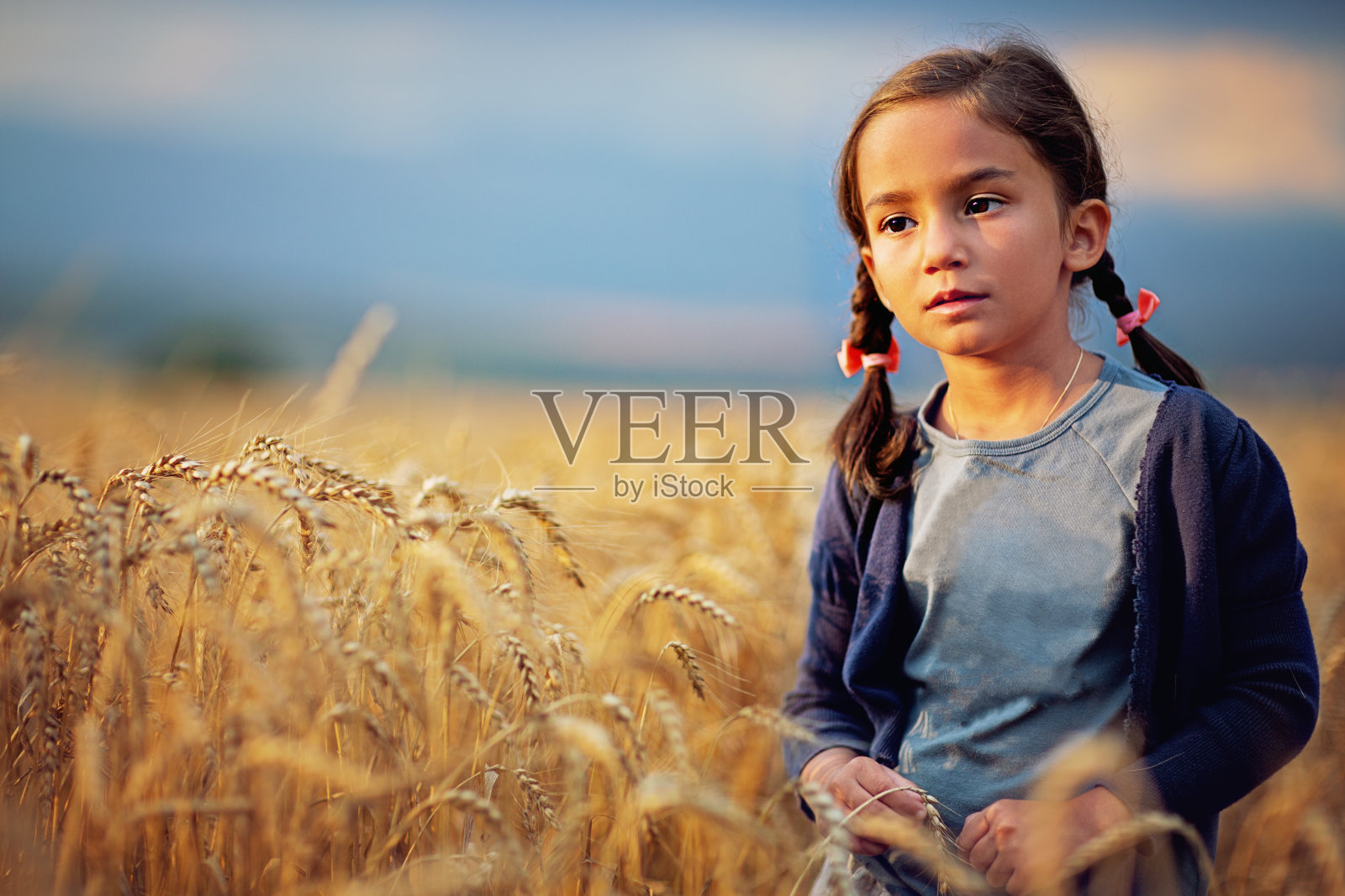 一幅沉思的女孩在田间抚摸着小麦的画像照片摄影图片