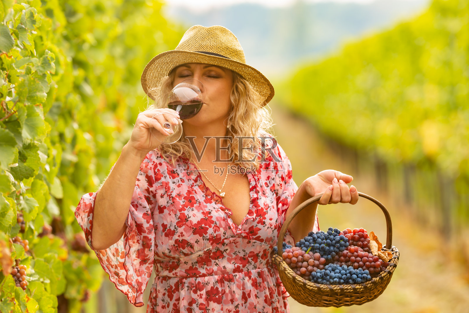 对酿酒师来说，在成功的收获后喝上一杯美味的葡萄酒是一件令人愉快的事情。照片摄影图片