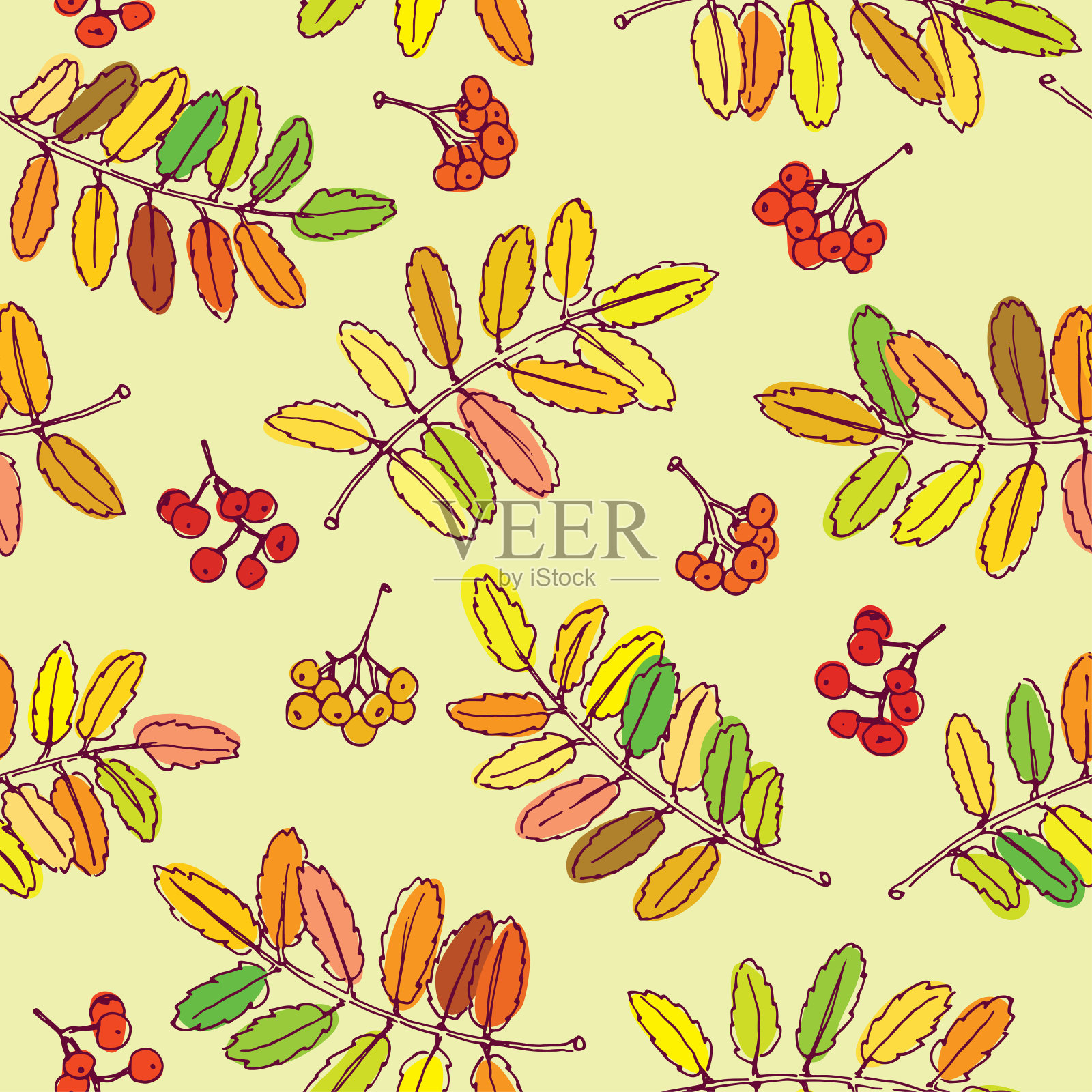 花楸叶和浆果的颜色轮廓在浅黄色的背景中。无缝的矢量模式插画图片素材