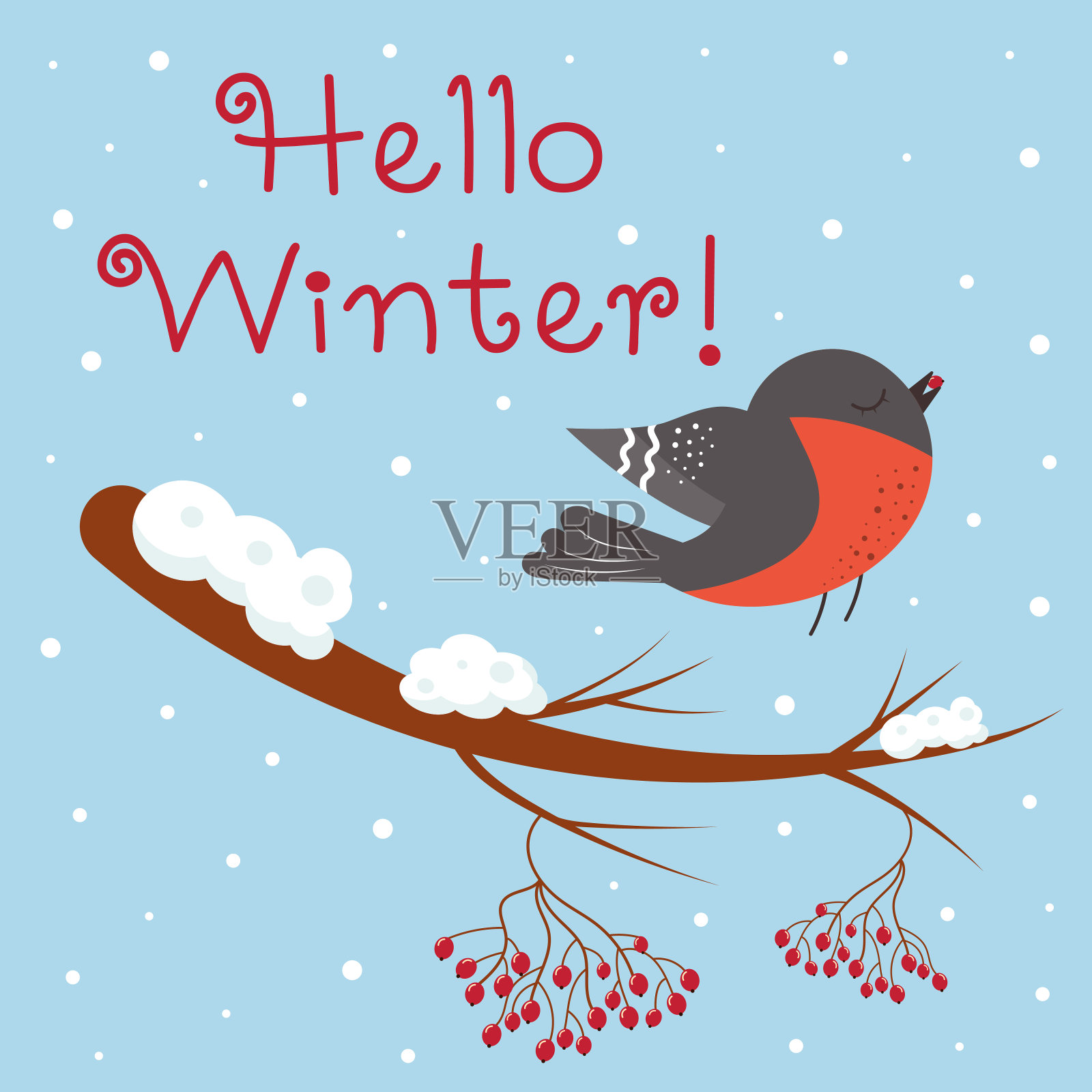 红雀和花楸树枝的冬季问候卡。插画图片素材