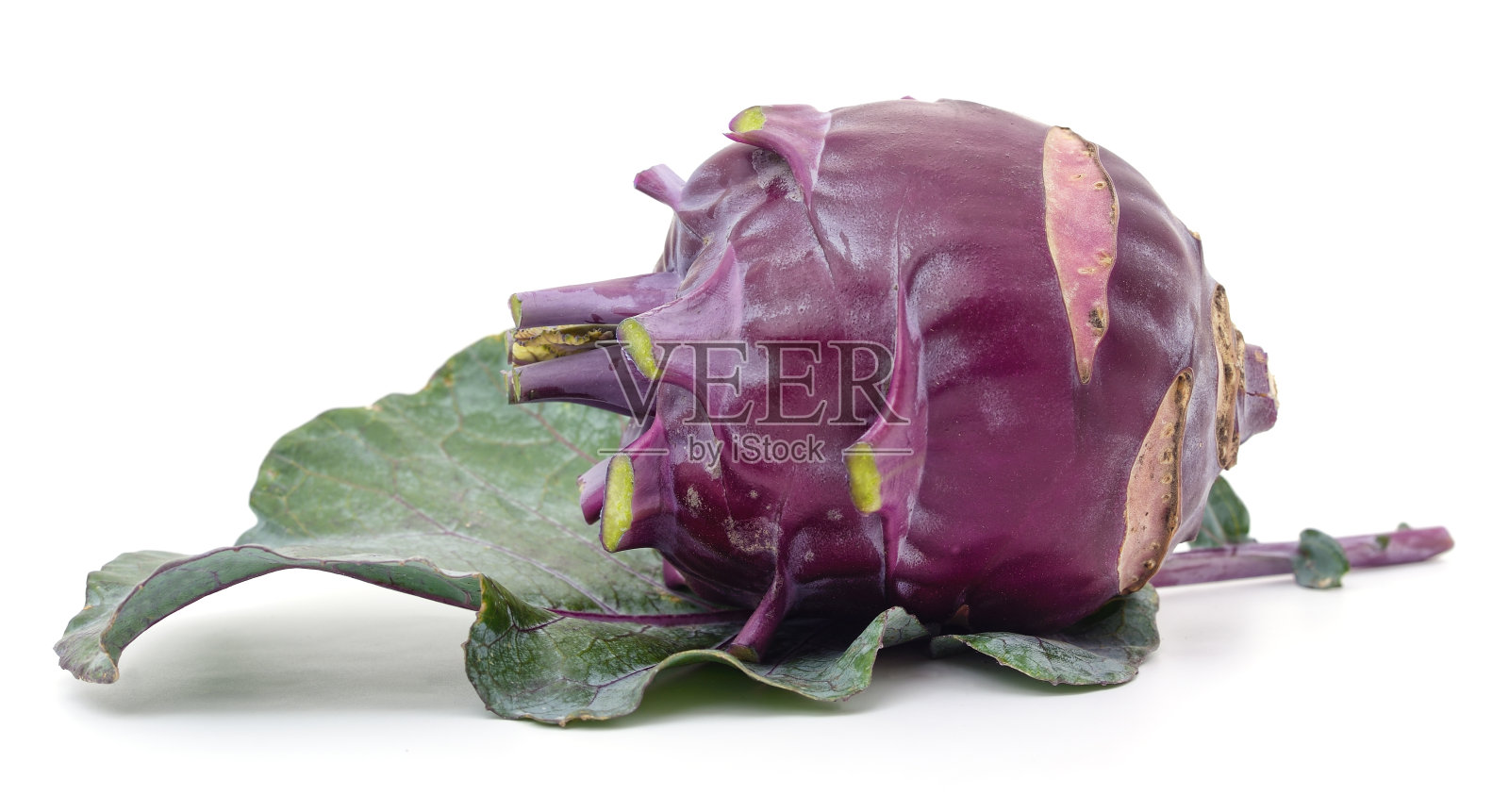 一个紫色的甘蓝菜。照片摄影图片