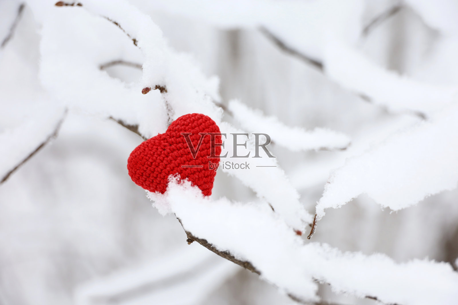 红色的爱情编织在树枝上，在冬天的森林里的雪里照片摄影图片