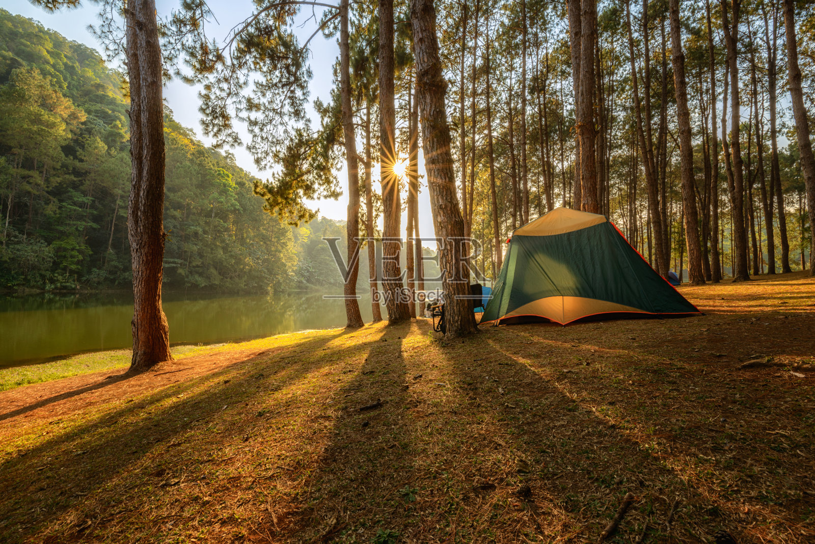 图为，在泰国美洪森省庞荣的松树林中搭帐篷的美丽景色。照片摄影图片
