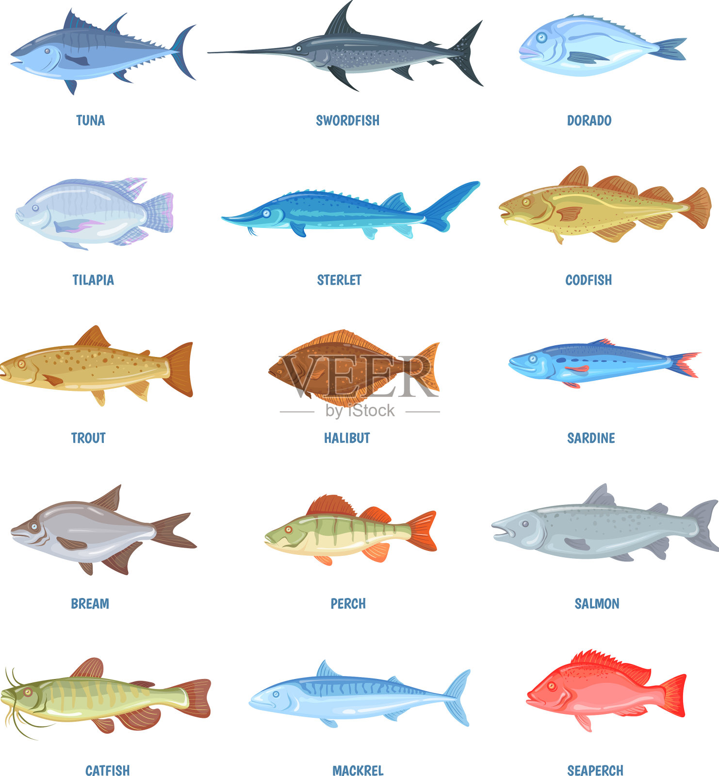 海洋鱼类图片素材-编号17802913-图行天下