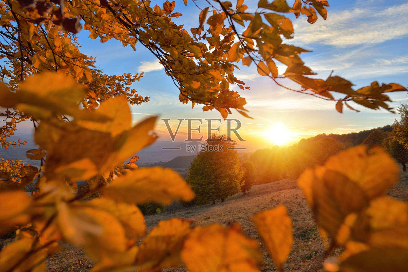 美丽的秋叶景观与温暖的光线从日落山林照片摄影图片