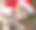 花斑猫戴着圣诞围巾和圣诞帽素材图片