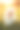 快乐的白色萨摩耶狗户外肖像公园素材图片