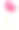 粉色康乃馨与效果水彩画孤立在白色背景素材图片