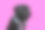 黑色哈巴狗肖像在粉红色的背景。素材图片