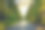 博尔盖里著名的柏树笔直地矗立在日落大道上。3月素材图片