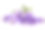 紫罗兰紫色的花孤立在白色的背景，靠近素材图片