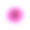 菊花粉红头孤立花素材图片